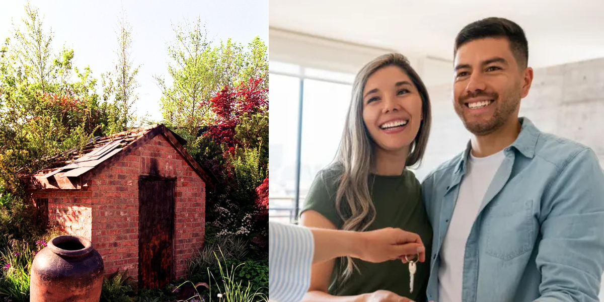 NextImg:Add £25,000 to the value of your property with an affordable garden update - 'makes your home more attractive'