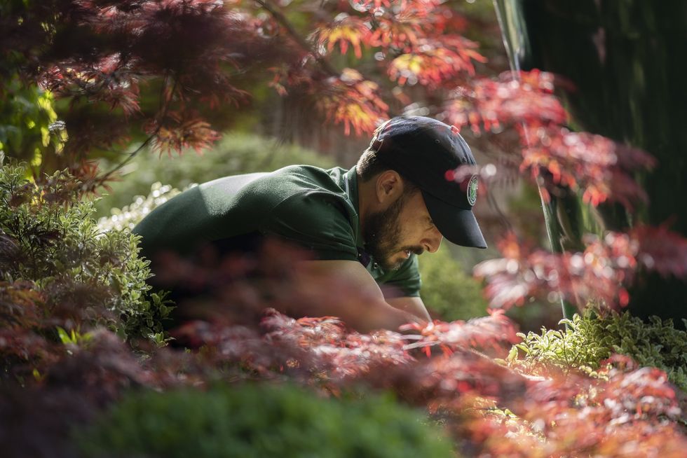 gardener at work