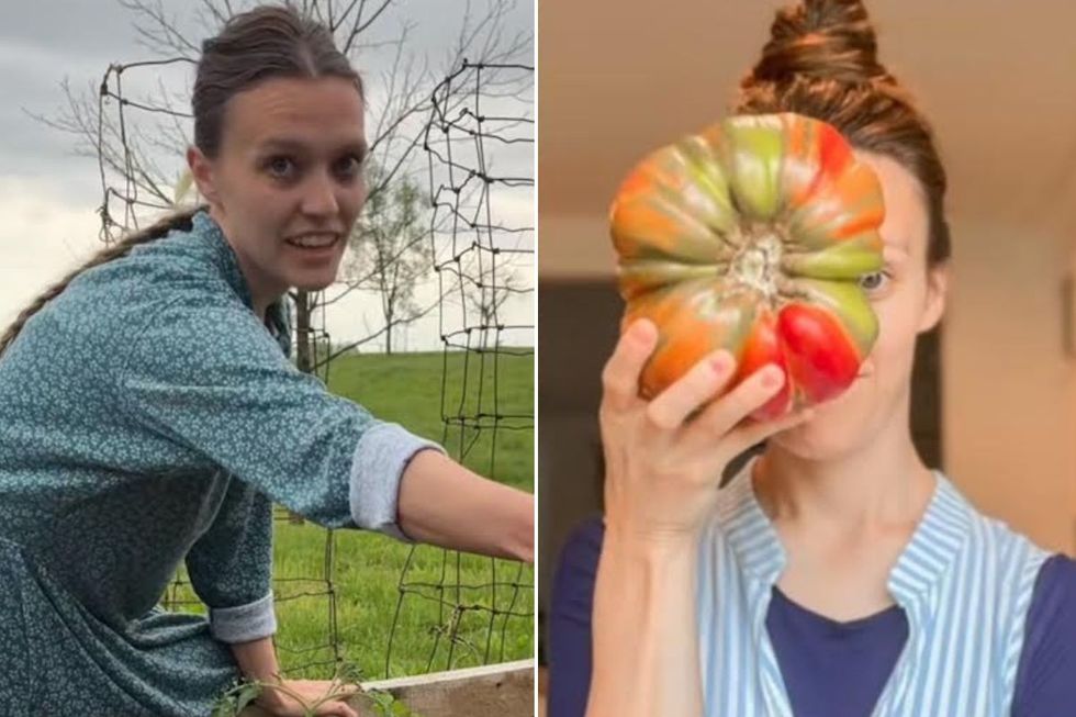 GARDENER HOLDING TOMATO