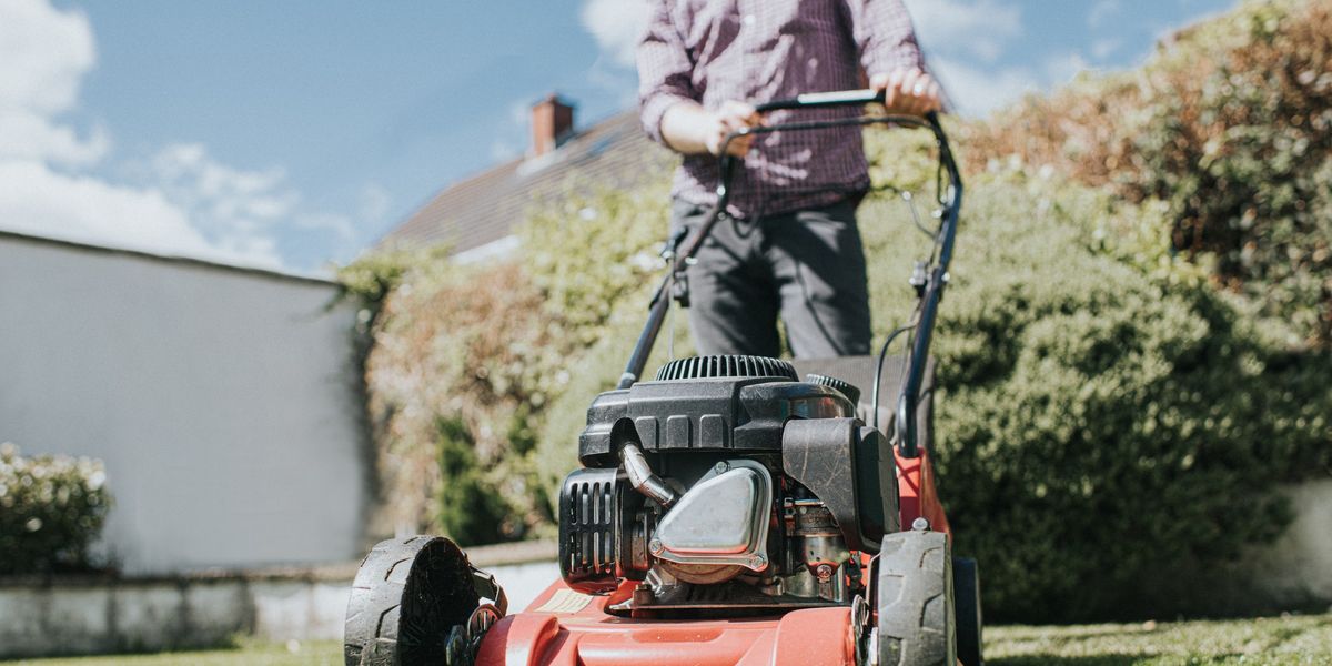 NextImg:Lawn care: Britons warned of 'common mowing mistakes' that can 'weaken grass' and 'hinder growth'