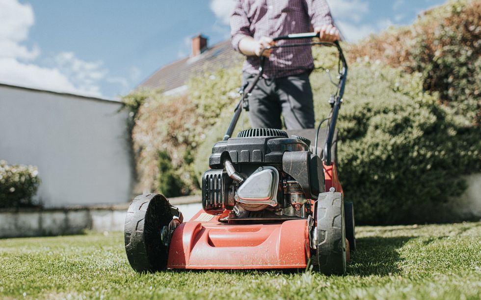 Gardener mowing the lawn