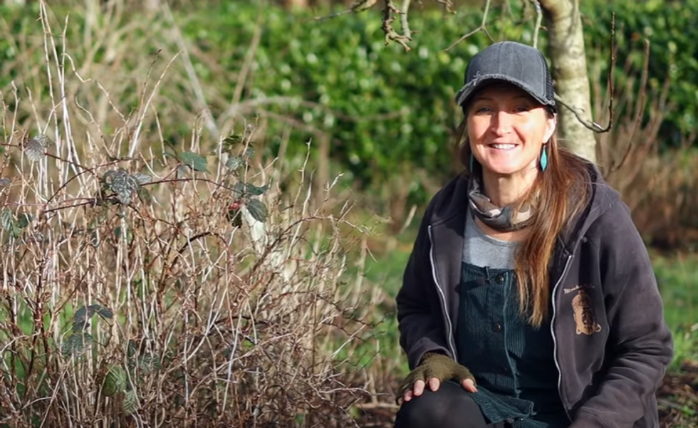 Gardener removing brambles from shrubs