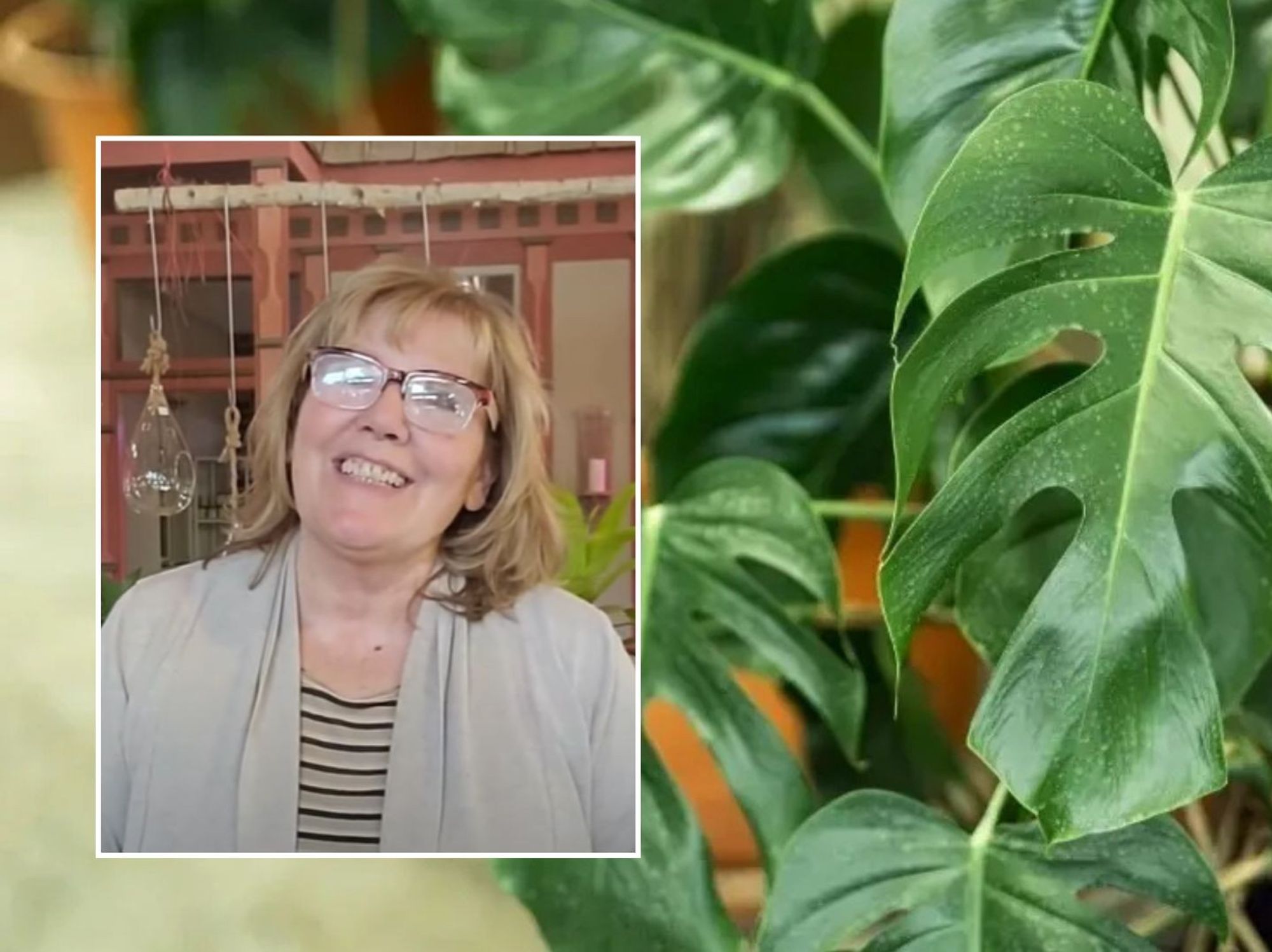 Gardener sharing kitchen scrap tips/Houseplant