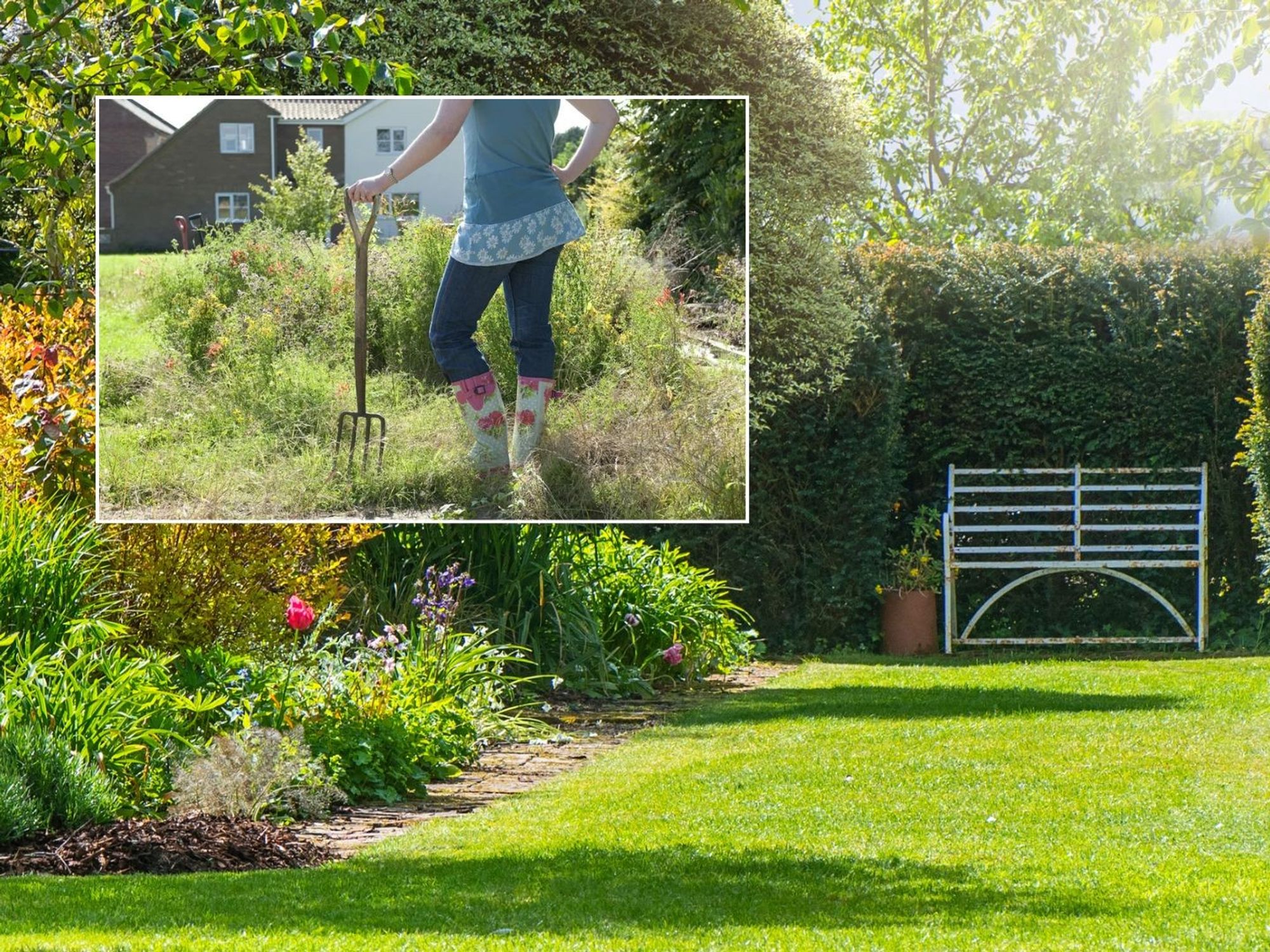 Gardener standing in overgrown grass/view of a pretty garden