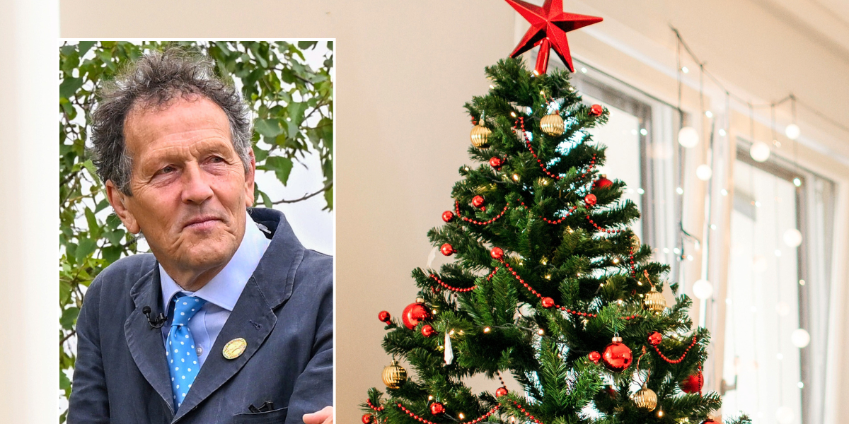 Monty Don shares how to make your tree last long past Christmas
