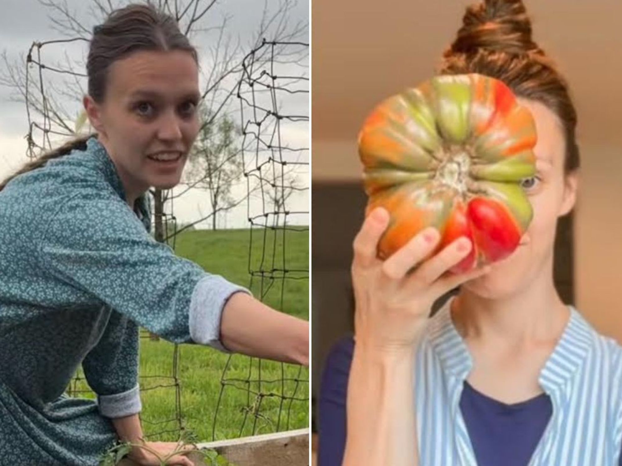 GARDENING WOMAN TOMATO