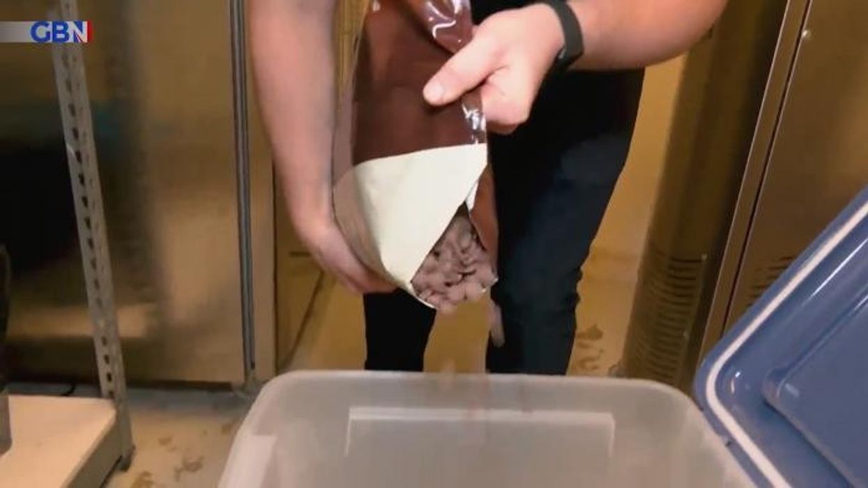 Easter Egg prices explode with huge surge in cost of chocolate