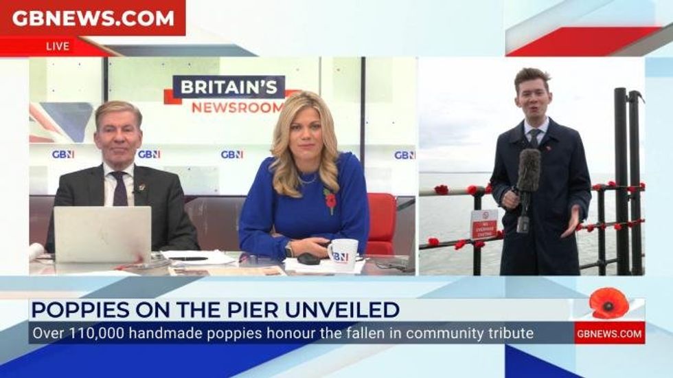 'Shameful' online sellers accused of stealing money from RBL by profiting from fake Remembrance Day poppies