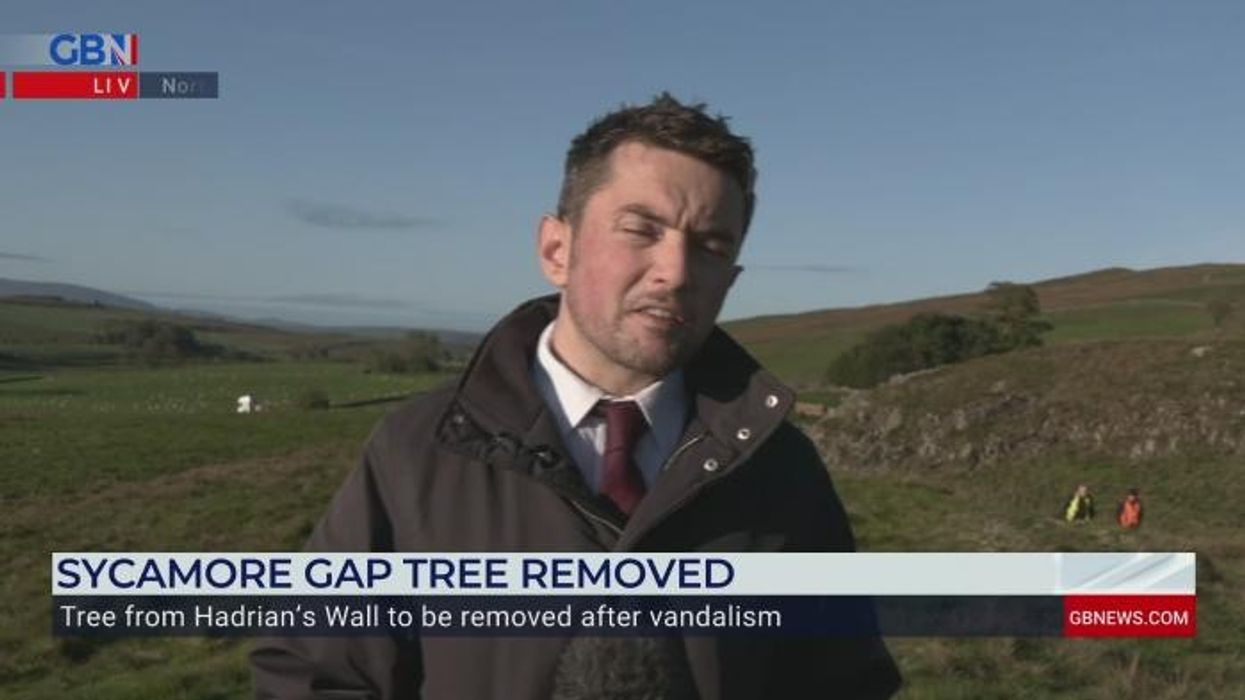 'Moronic mission!' Sycamore Gap friends blame each other over felling historic tree