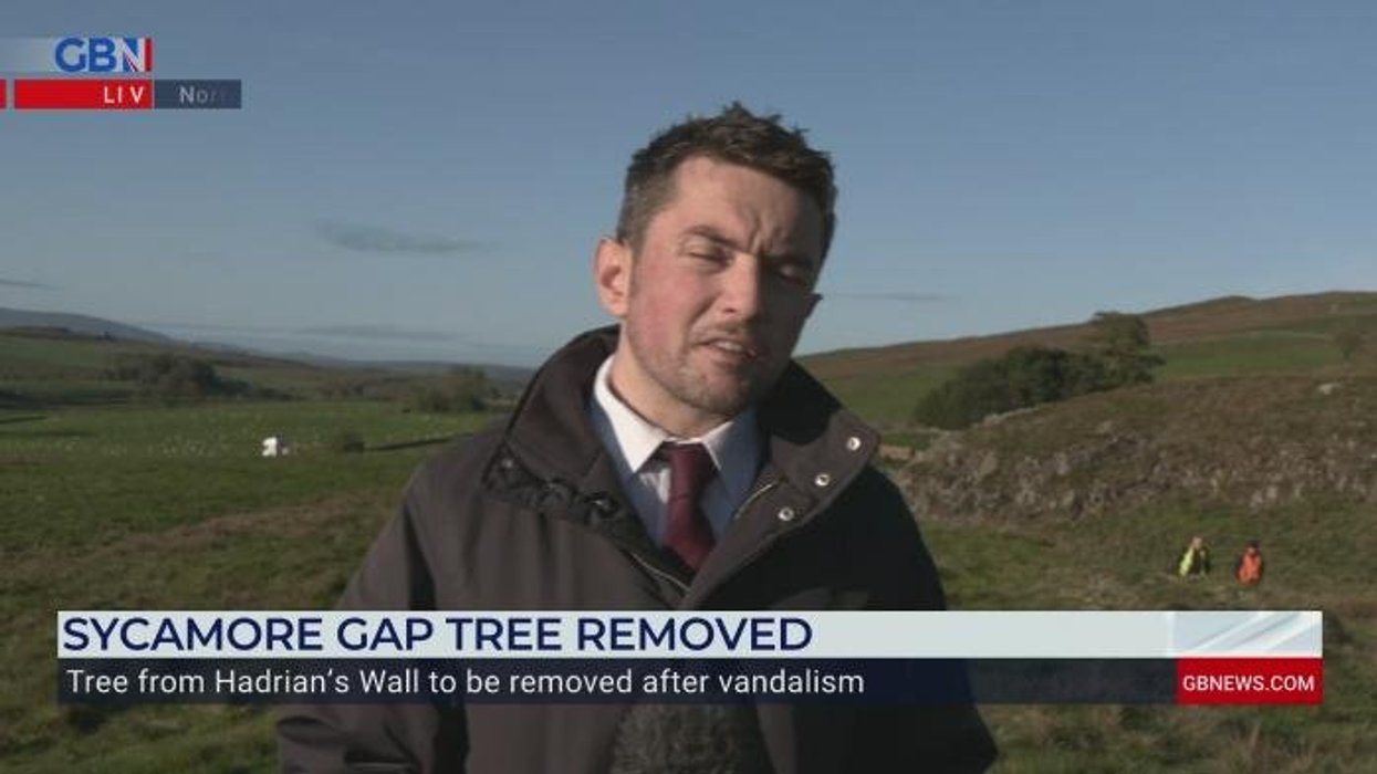 Man jailed for cutting down iconic Sycamore Gap tree freed just 10 MONTHS into four-year sentence