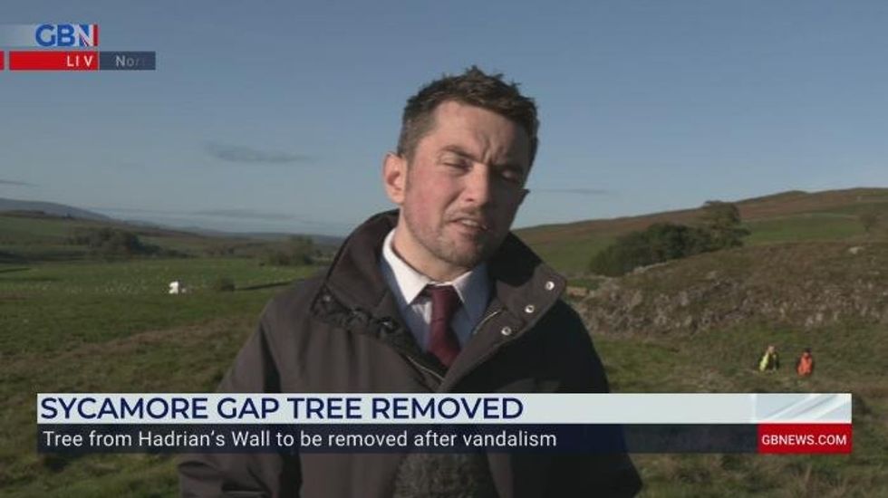 Man jailed for cutting down iconic Sycamore Gap tree freed just 10 MONTHS into four-year sentence