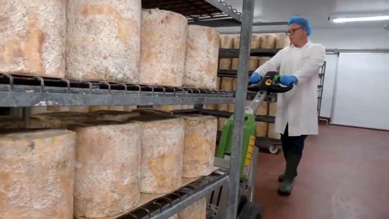 Police arrest 63-year-old after 22 tonnes of cheddar stolen in cheese con
