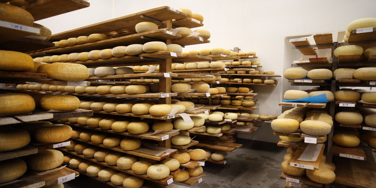 NextImg:Police arrest 63-year-old after 22 tonnes of cheddar stolen in cheese con