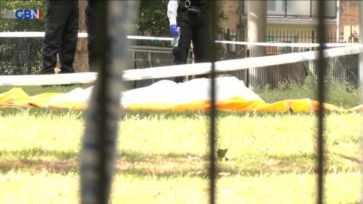 London stabbing: Police launch murder probe after 17-year-old killed in Westminster