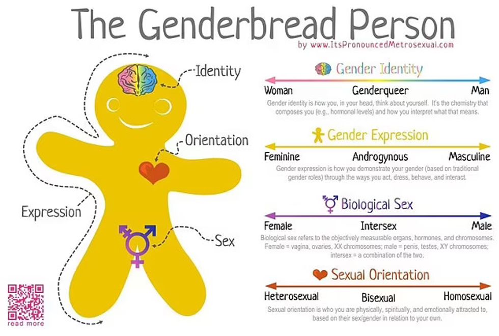 'Genderbread'