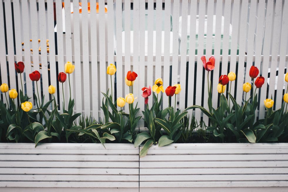 Generic fence