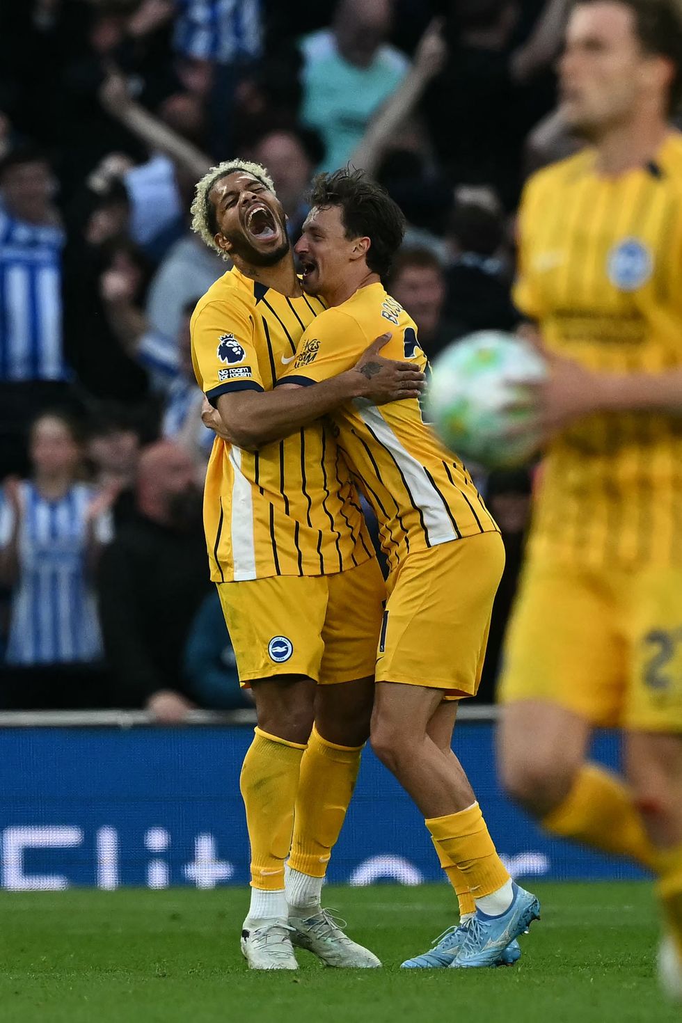 Georginio Rutter fez o empate para o Brighton na morte do Tottenham