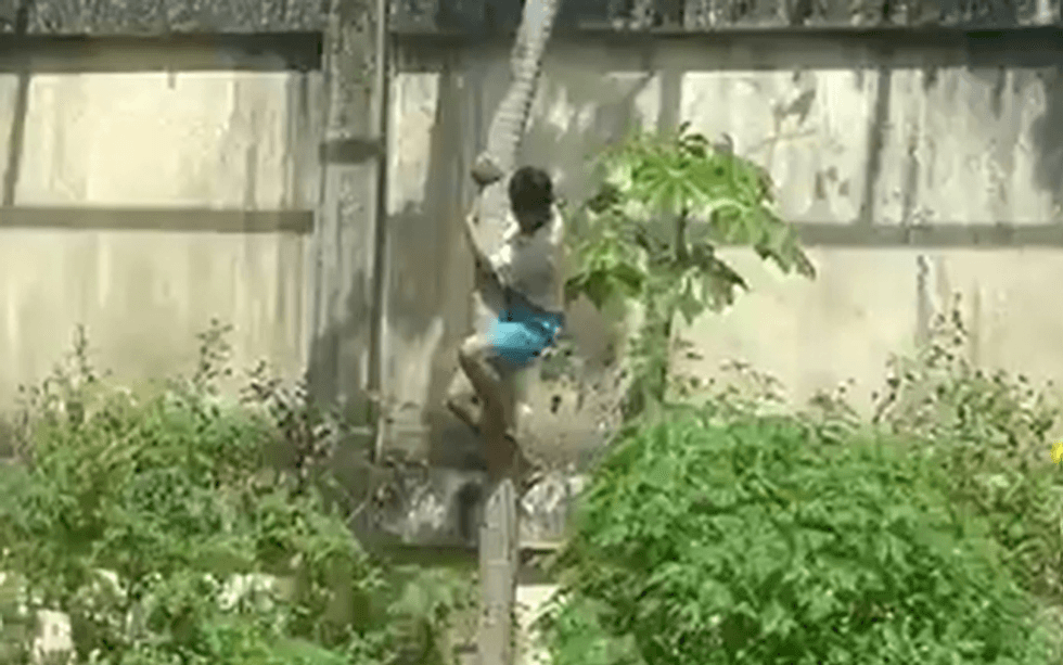 Gerson de Melo Machado