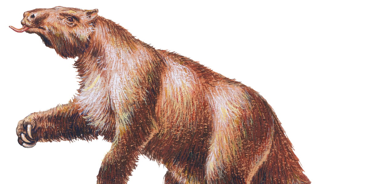 NextImg:Archaeology breakthrough as early humans hunted and ate giant sloths as well as other Ice Age beasts
