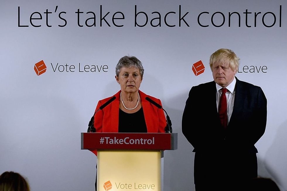 Gisela Stuart was a huge figure in the official Vote Leave campaign