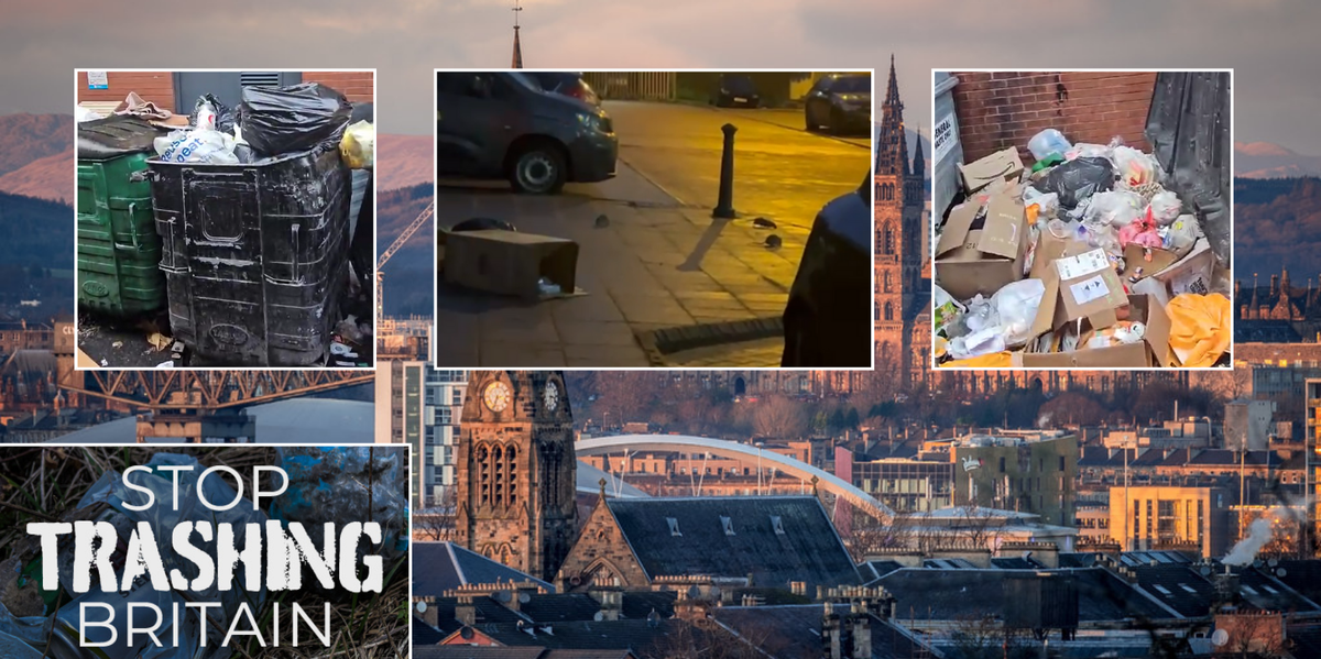 NextImg:Glasgow should 'declare state of emergency' to fix service-cut city overwhelmed by 'rat epidemic'