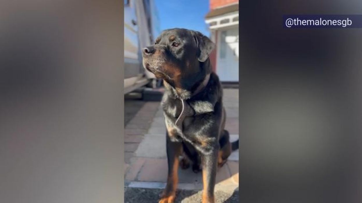 Gogglebox stars Abbie and Georgia slammed and hit with huge warning from viewers over 'toxic' item