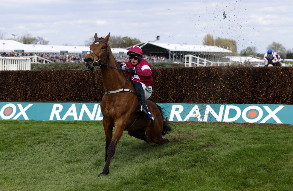 Gold Dancer broke his back on the final hurdle before winning the race