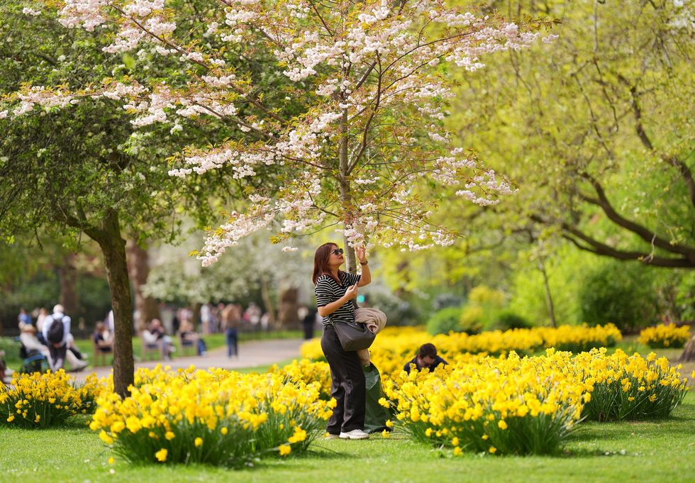 Good weather April 9 2026