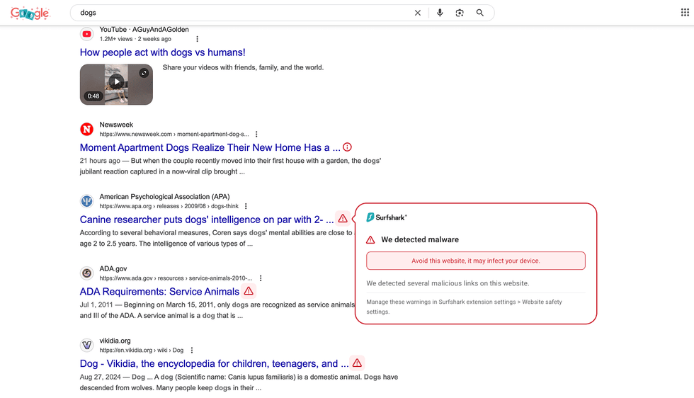 Google search results with Surfshark warning from new browser extension