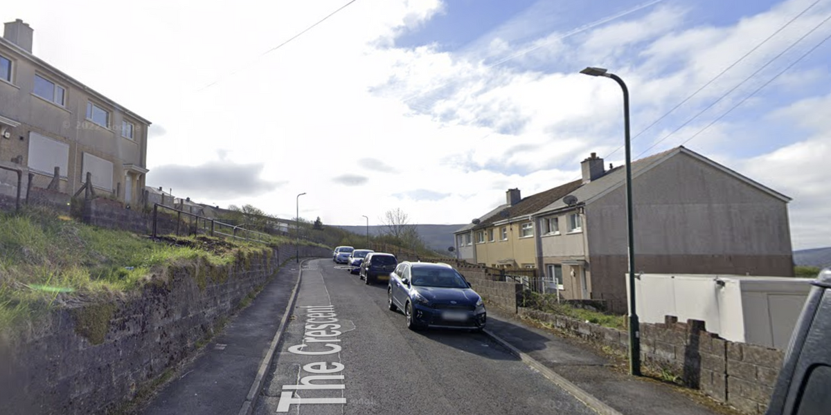 NextImg:Schoolgirl with life-changing injuries after mauled by dog