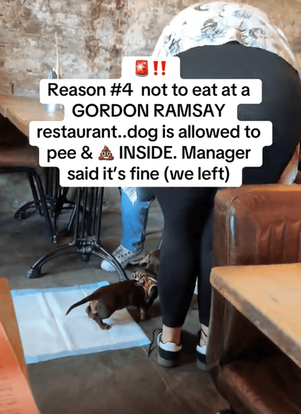 Gordon Ramsay