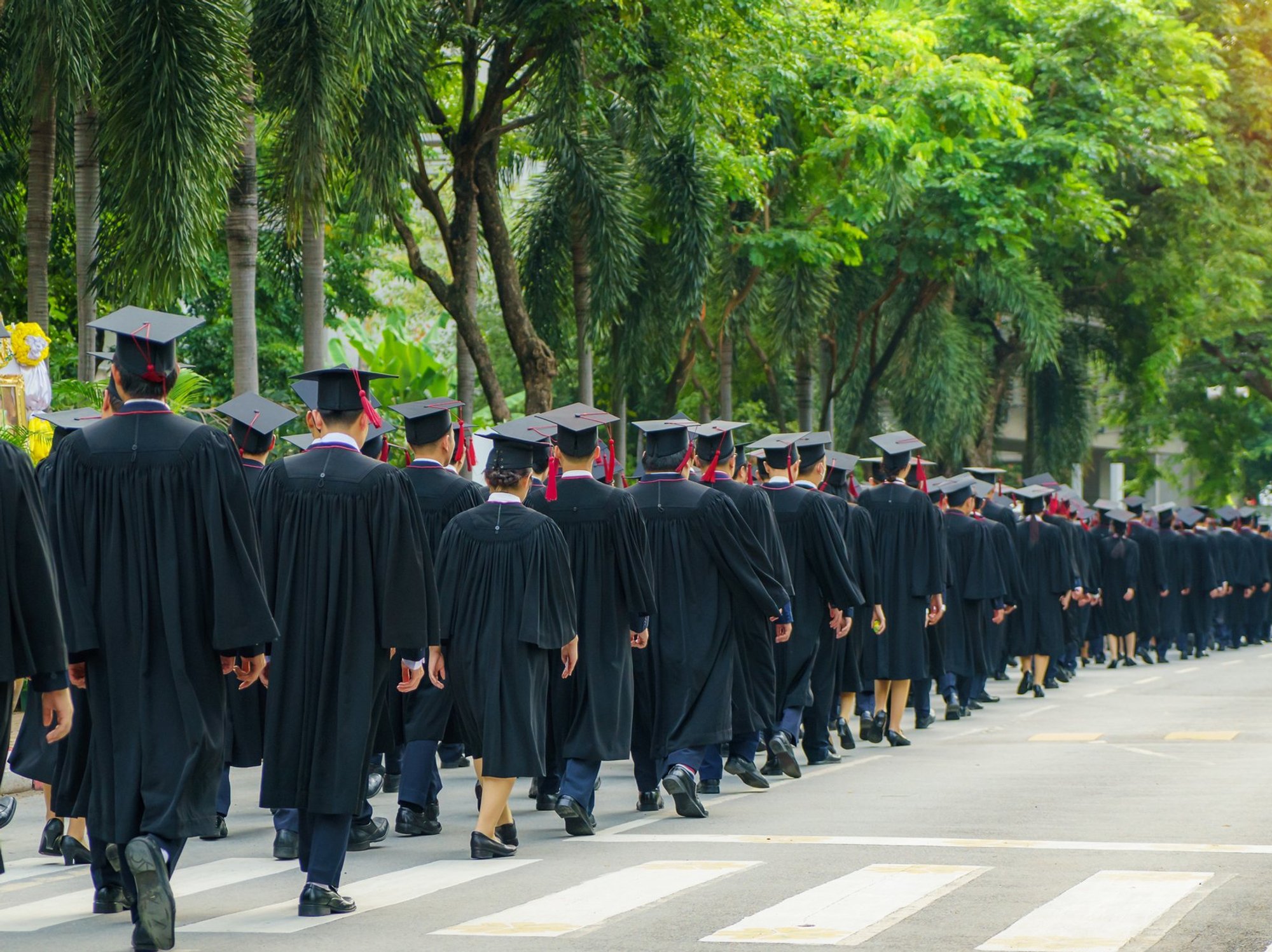 Graduates
