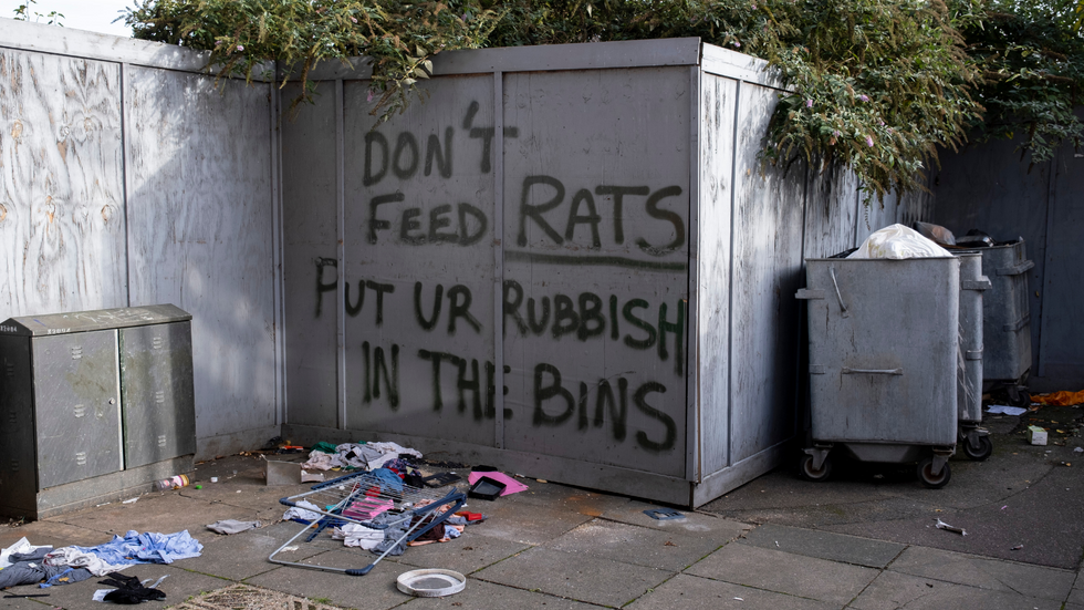 Graffiti about rats