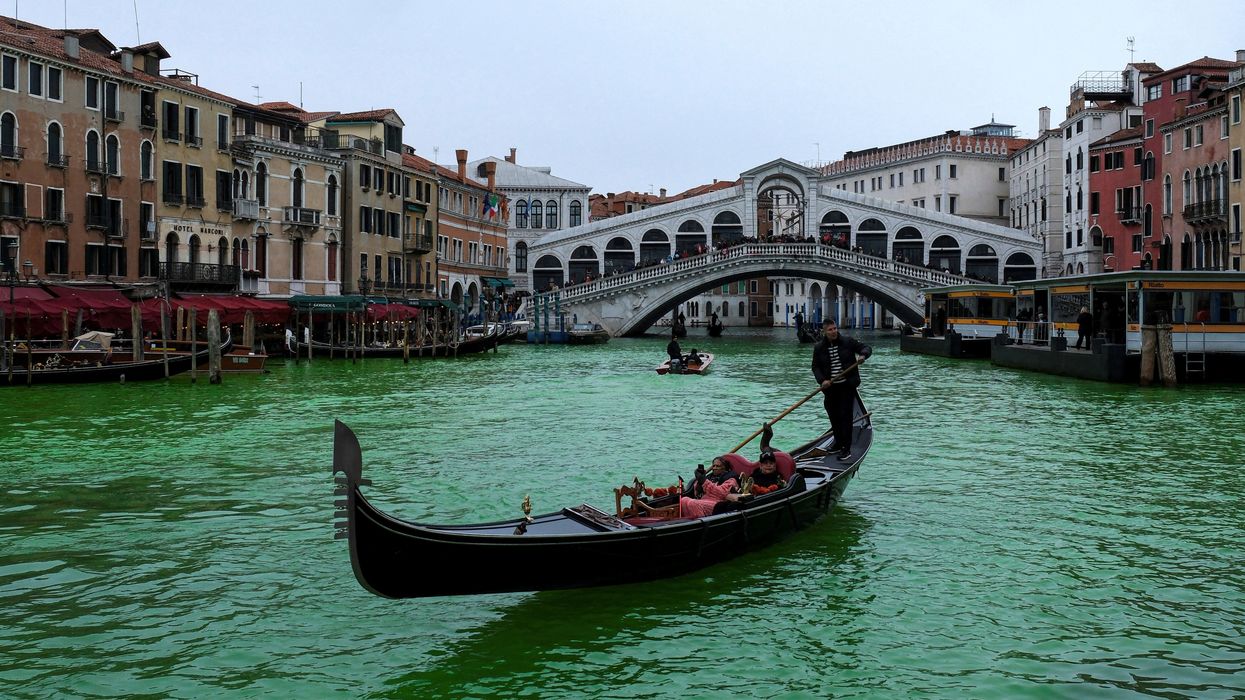 Grand Canal in Venice dyed a bright green