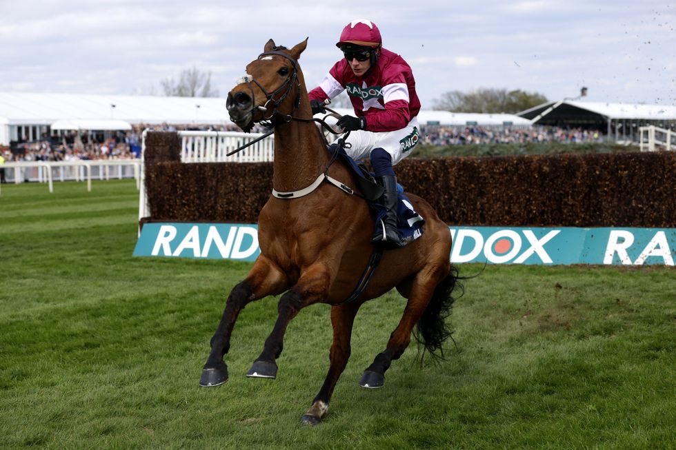 Grand National horse Gold Dancer was rushed for treatment after the race but it was too late