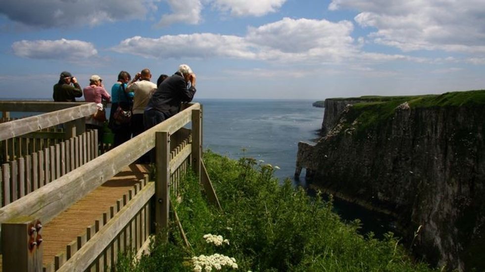 Grandstand viewpoint where the orca was spotted