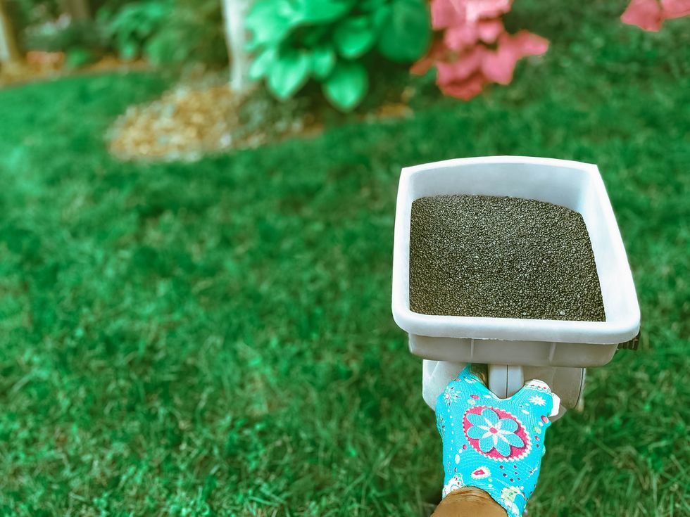 Grass fertiliser