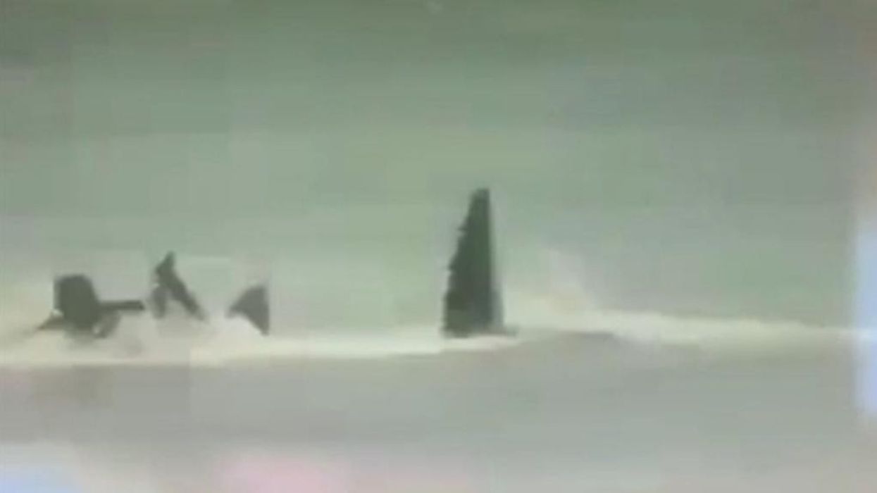 Great white shark rips off surfer's leg in horrific attack with body part later washing up on shore