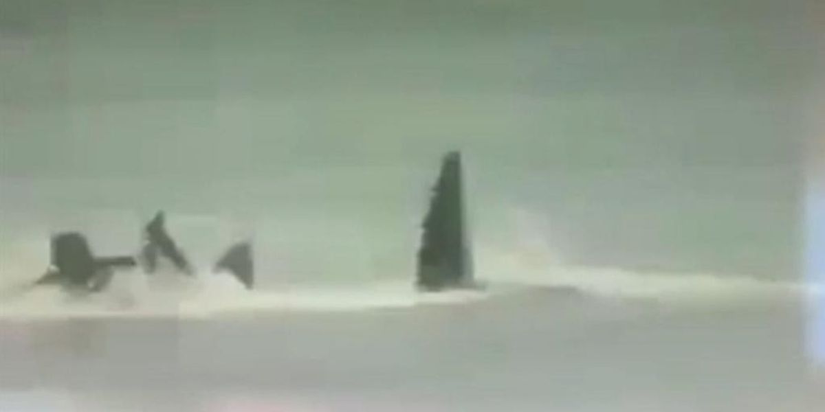 NextImg:Great white shark rips off surfer's leg in horrific attack with body part later washing up on shore