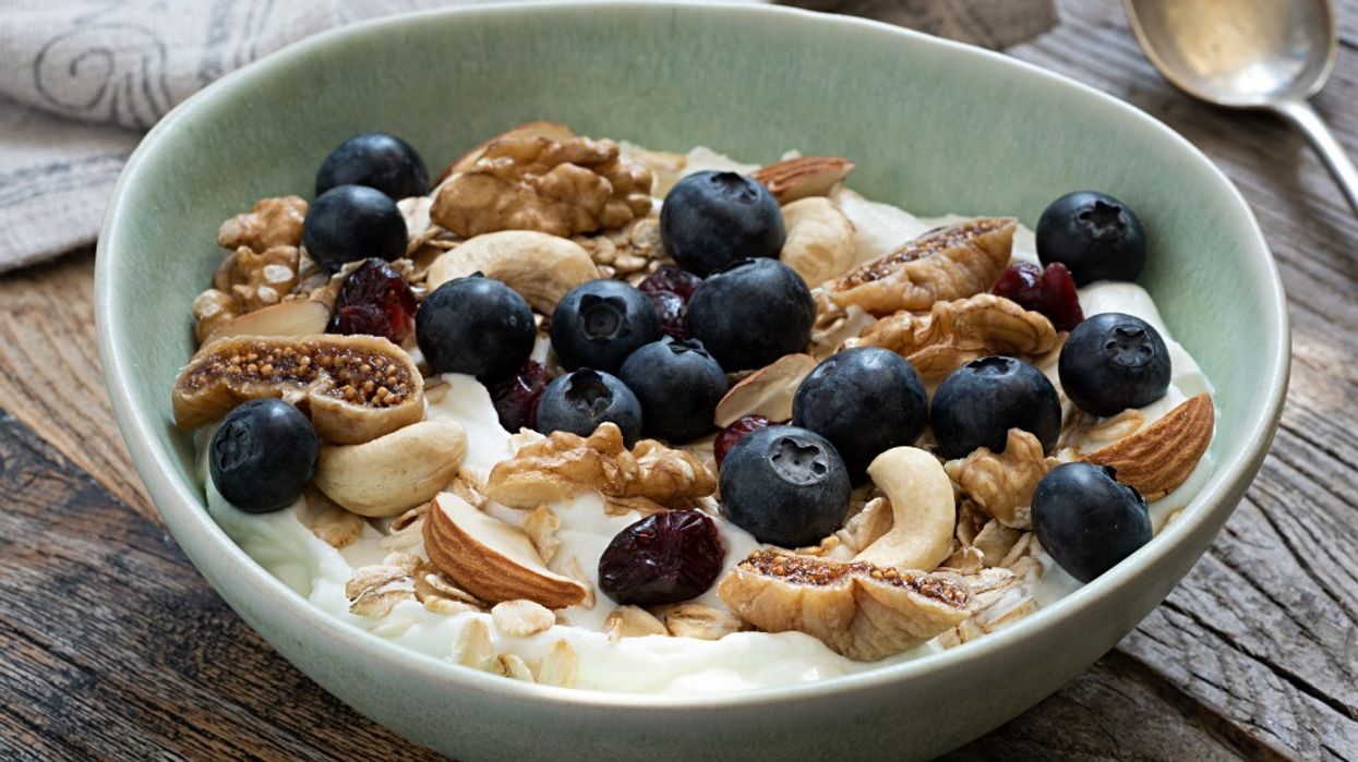 Greek yoghurt protein