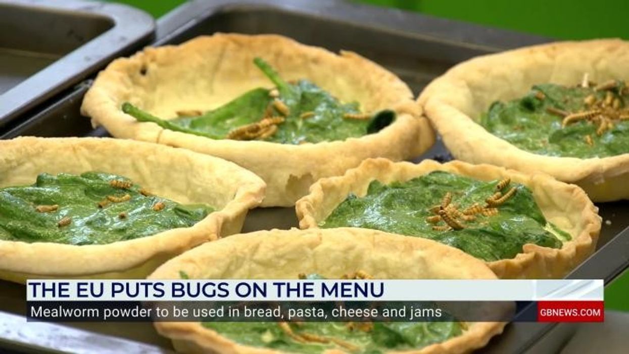 ‘Green agenda on steroids!’ MEP erupts at EU’s ‘stomach-churning’ plan to put BUGS in food