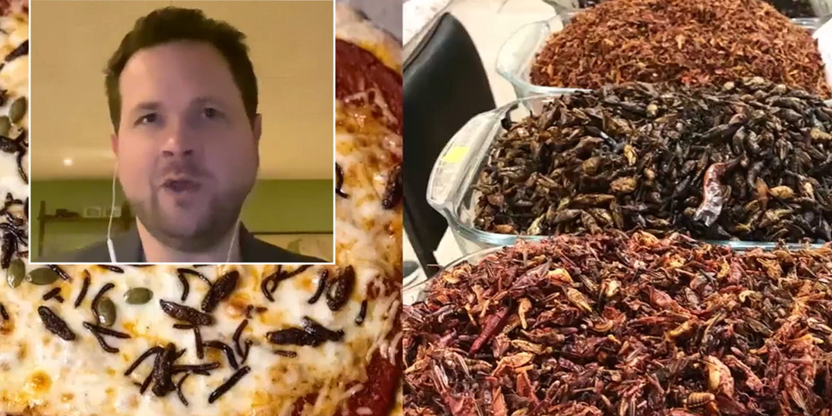 NextImg:‘Green agenda on steroids!’ MEP erupts at EU’s ‘stomach-churning’ plan to put BUGS in food