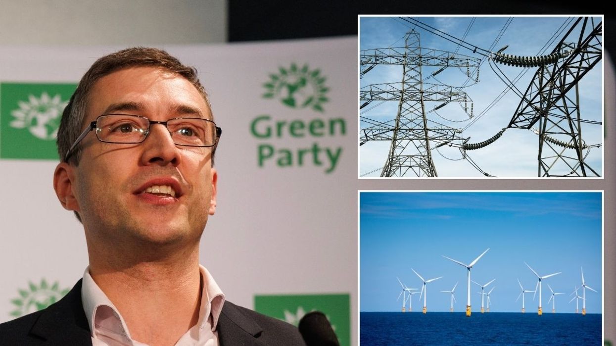 Green Party leader vows to oppose GREEN energy plan