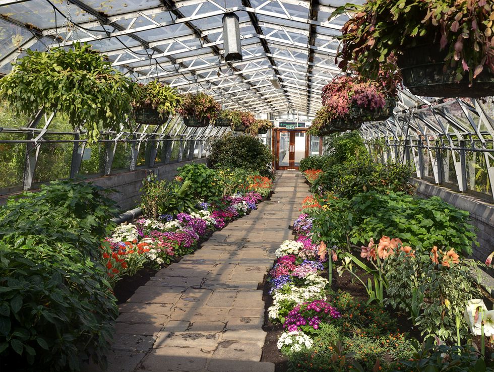 Greenhouse at Duthie Park Winter Gardens, Aberdeen