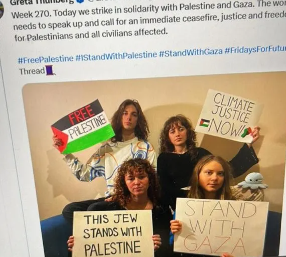 Greta's original post