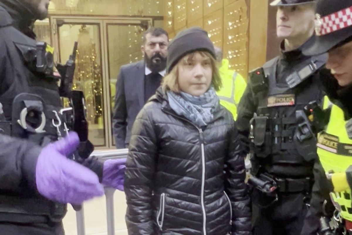 Greta Thunberg arrested in London after supporting Palestine Action hunger strikers