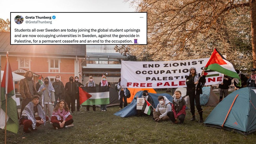 Greta Thunberg at a protest