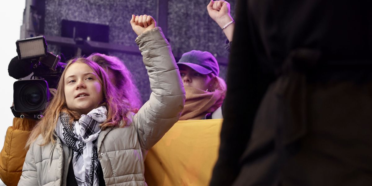 NextImg:Greta Thunberg leaves climate activists furious after 'completely obscene' rant