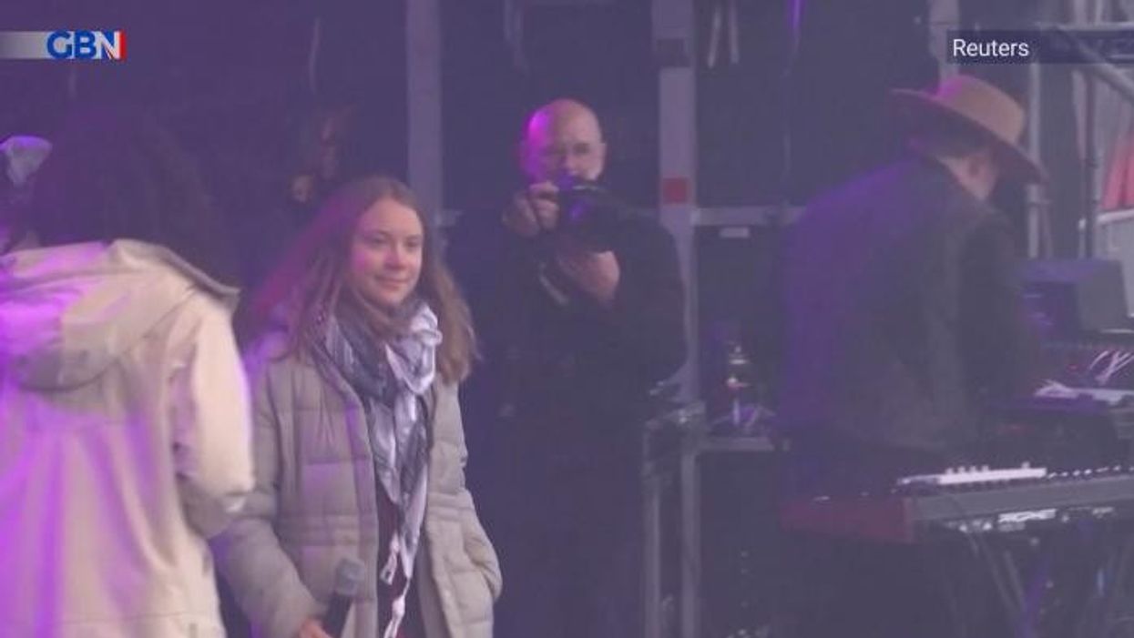 WATCH: Greta Thunberg wrestles with activist as he storms her pro-Palestinian rant at climate protest