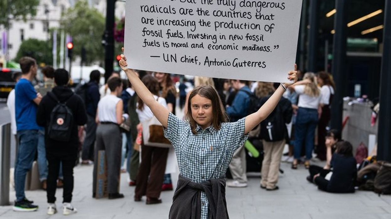 Greta Thunberg with placard